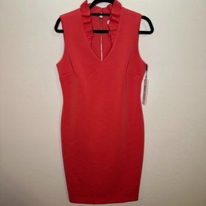 NWT Pink dress